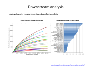 metagenomics_downstream