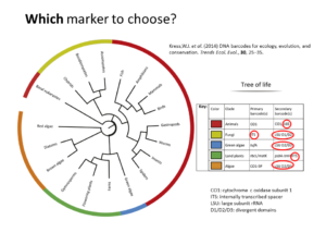 metagenomics_markers